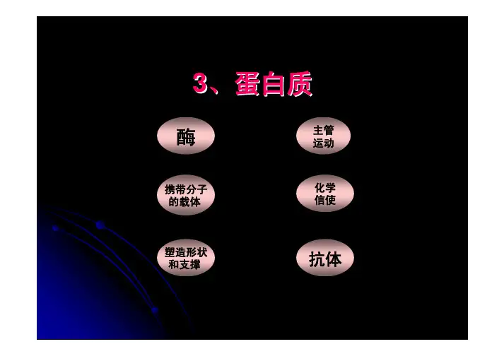 普通生物学第2章 生命的物质基础2 蛋白质