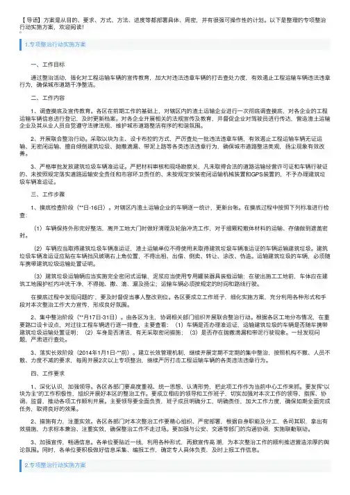 专项整治行动实施方案