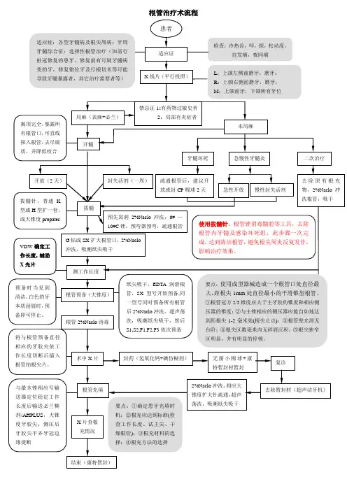 根管治疗操作流程【范本模板】