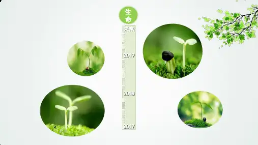 人教版道德与法治七年级上册 10.1 感受生命的意义 课件(共18张PPT)