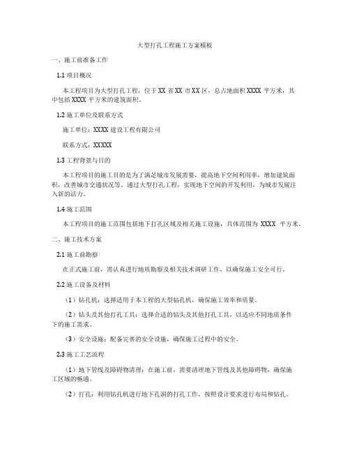 大型打孔工程施工方案模板