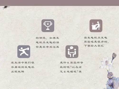 发电机不发电的原因及处理方法