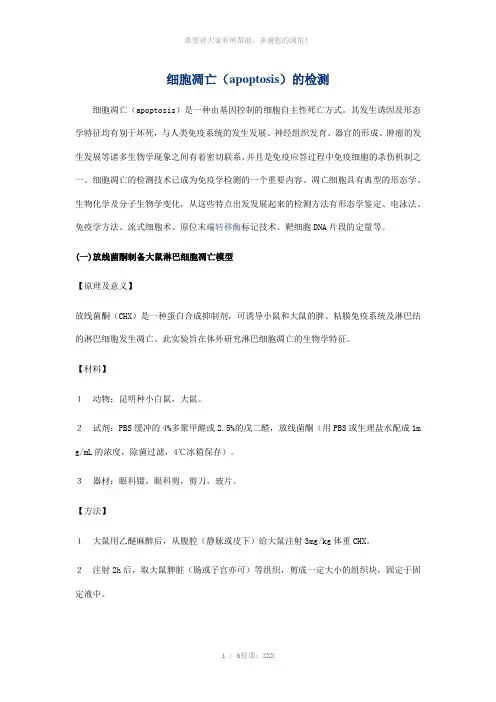 细胞凋亡(apoptosis)的检测