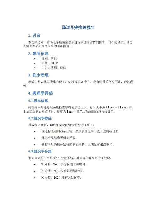 肠道早癌病理报告