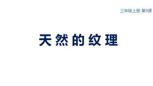 三年级上册美术课件-第9课 天然的纹理 ▏人教版  (共17张PPT)