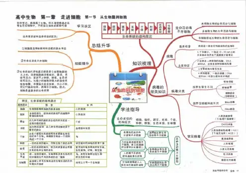 高中生物思维导图大全