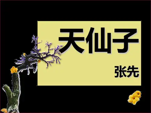 【高中语文】天仙子ppt精品课件