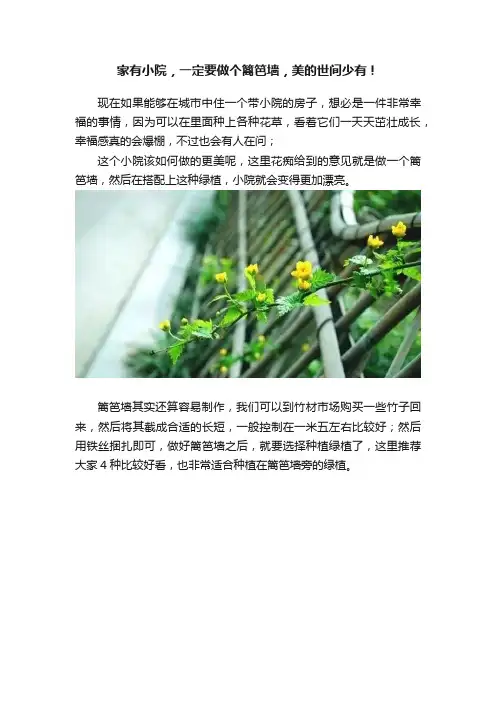 家有小院，一定要做个篱笆墙，美的世间少有！