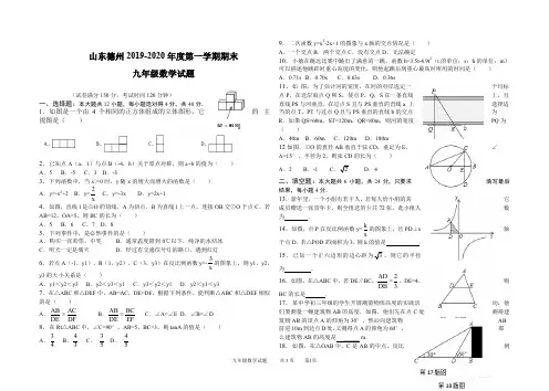 山东德州2019-2020期末考试九年级数学