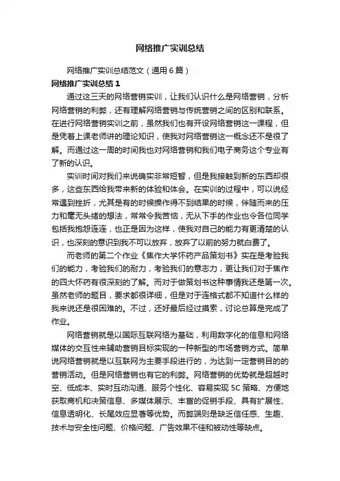 网络推广实训总结范文（通用6篇）