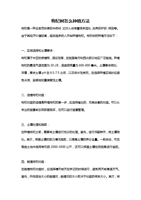 枸杞树怎么种植方法