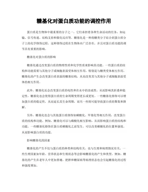 糖基化对蛋白质功能的调控作用