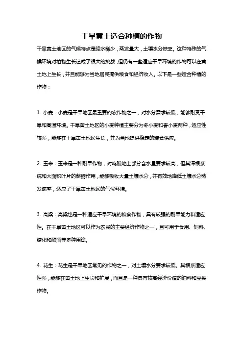干旱黄土适合种植的作物