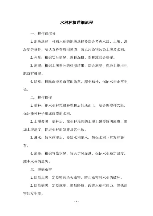 水稻种植详细流程