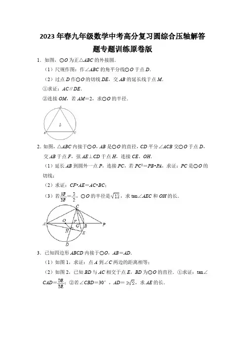 2023年春九年级数学中考高分复习圆综合压轴解答题专题训练原卷版