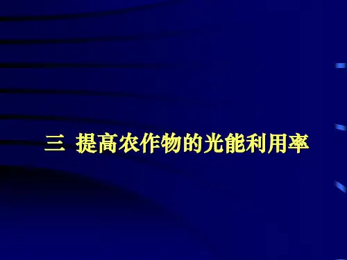 提高农作物的光能利用率.