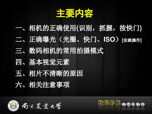 数码摄影基础技术与技巧课件