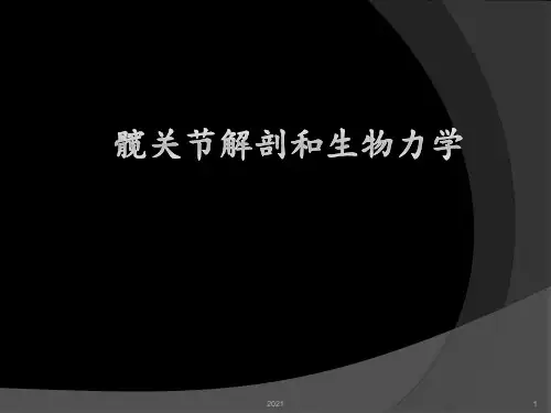 髋关节解剖及生物力学-hip(1)PPT课件