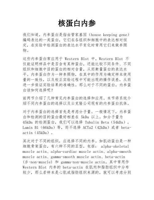 核蛋白内参