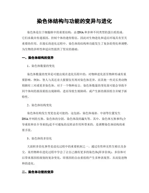 染色体结构与功能的变异与进化