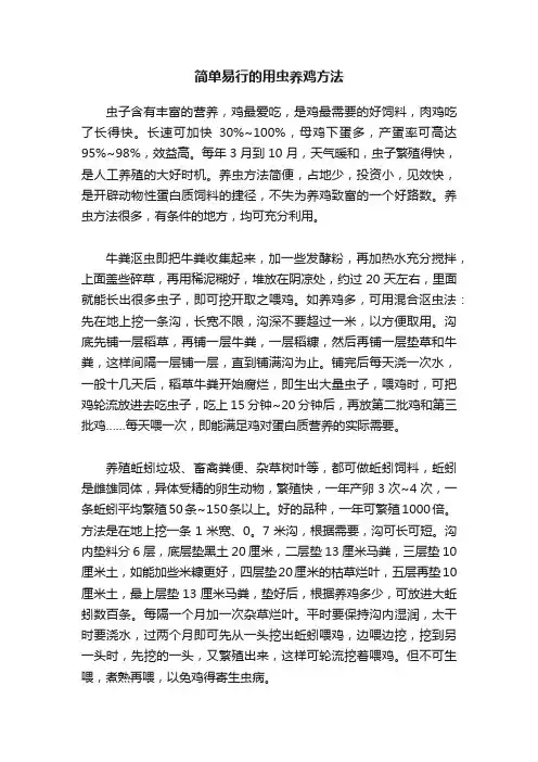 简单易行的用虫养鸡方法