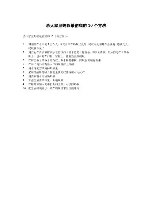 消灭家里蚂蚁最彻底的10个方法