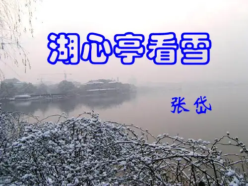 湖心亭看雪注释+翻译+重点字词