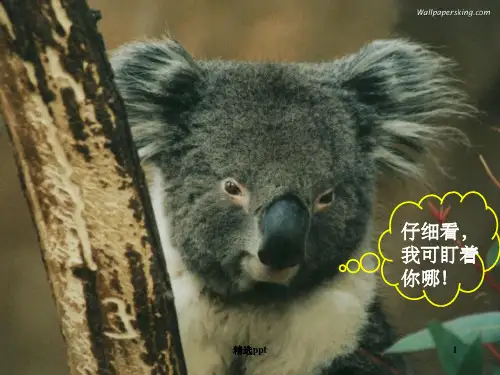 《动物游戏之谜》》PPT课件