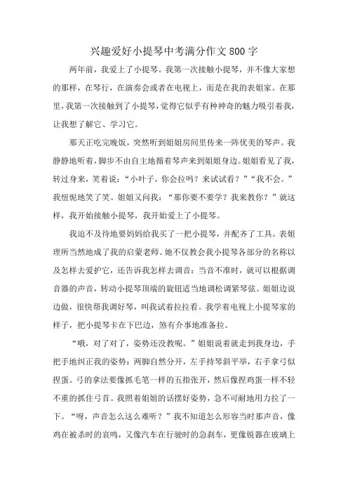 兴趣爱好小提琴中考满分作文800字