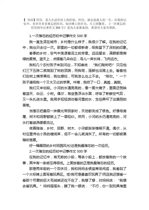 一次难忘的经历初中记事作文500字5篇