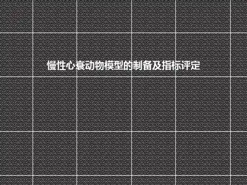 慢性心衰动物模型的制备及指标评定  ppt课件