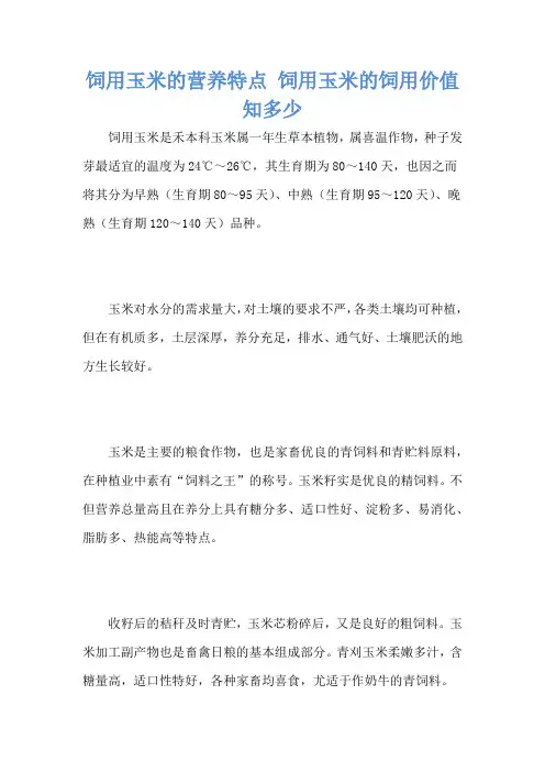 饲用玉米的营养特点 饲用玉米的饲用价值知多少
