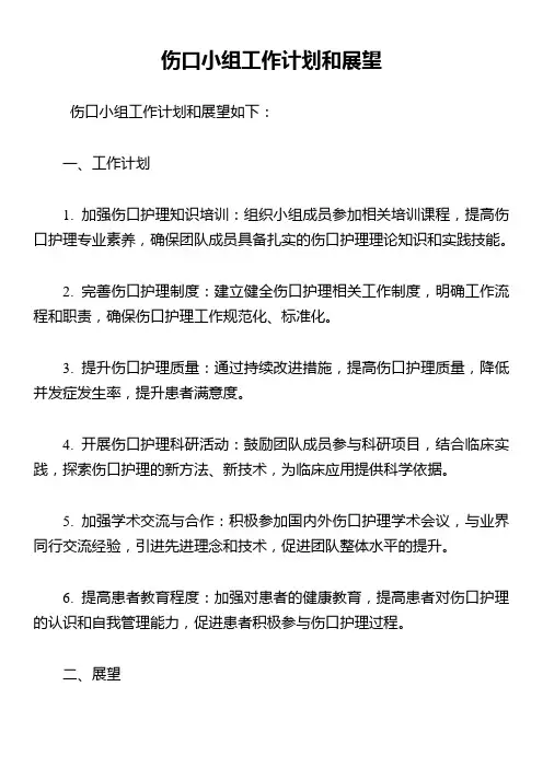 伤口小组工作计划和展望