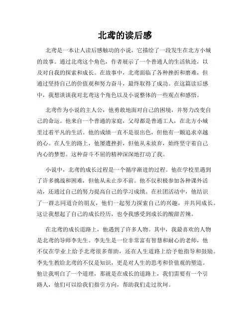 北鸢的读后感