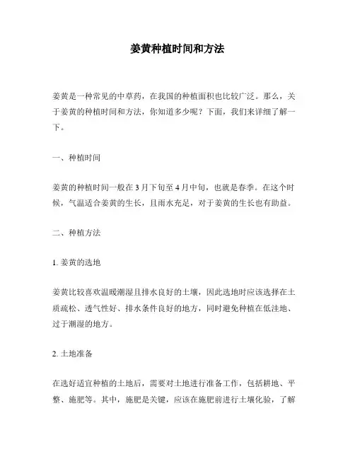 姜黄种植时间和方法