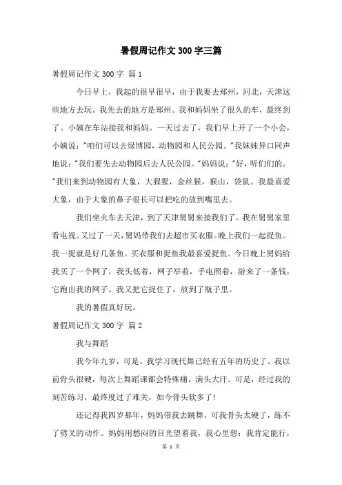 暑假周记作文300字三篇