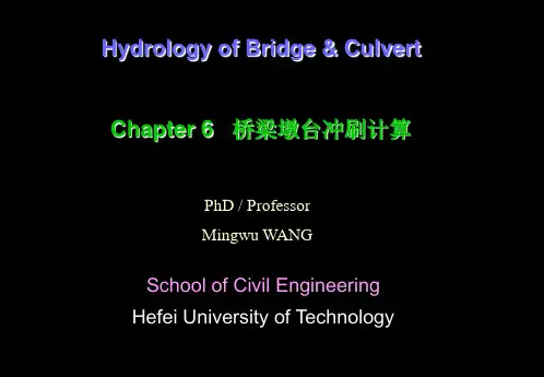Chapter06-桥梁墩台冲刷计算
