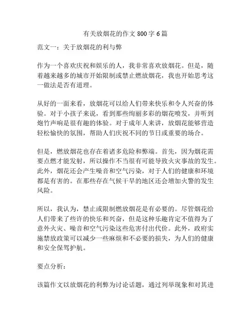 有关放烟花的作文800字6篇
