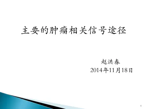 信号通路途径ppt课件