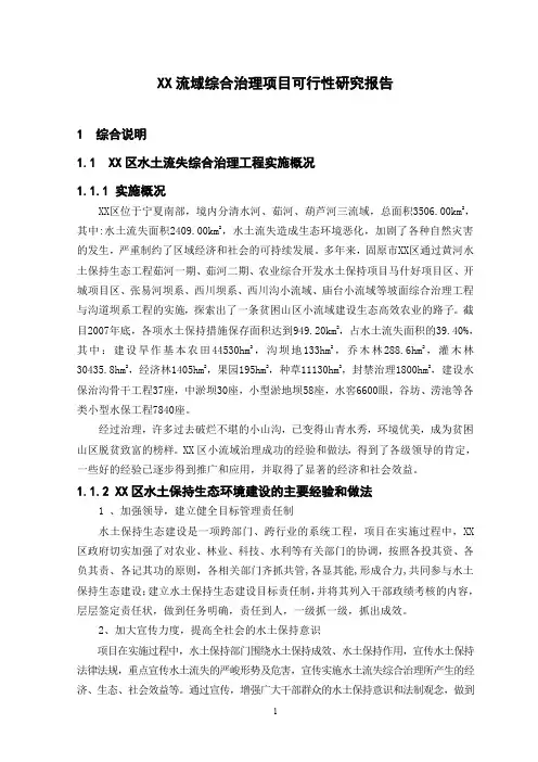某流域综合治理项目可行性研究报告