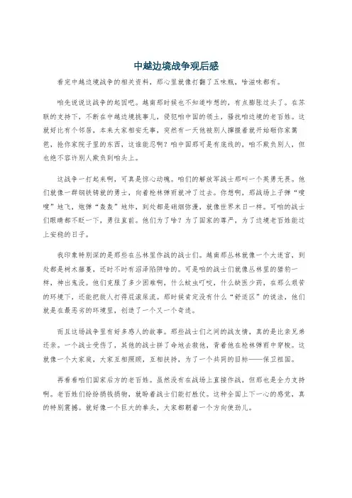 中越边境战争观后感
