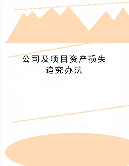 最新公司及项目资产损失追究办法