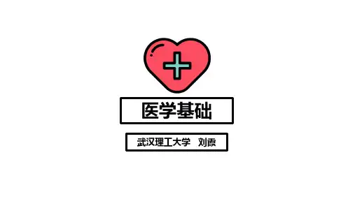 医学基础_ 泌尿系统的结构和功能_