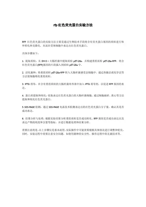 rfp红色荧光蛋白实验方法