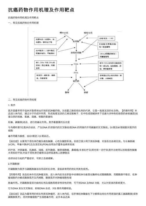 抗癌药物作用机理及作用靶点