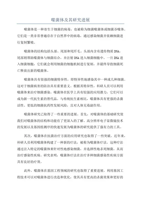 噬菌体及其研究进展