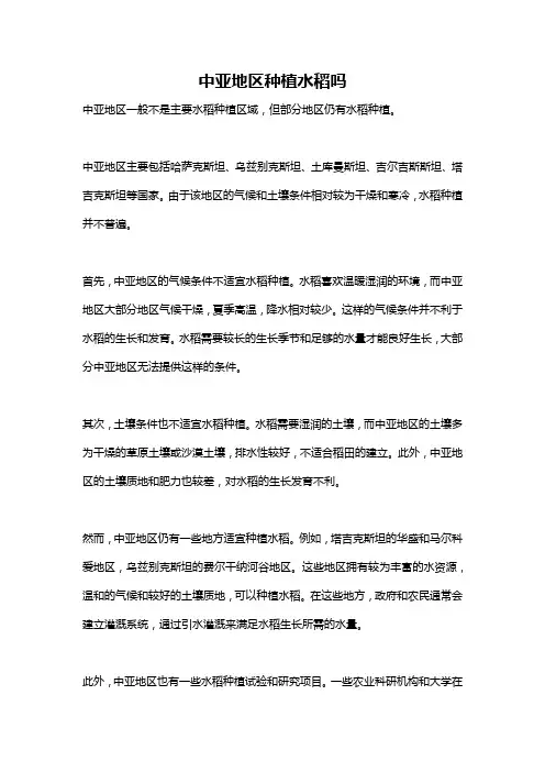 中亚地区种植水稻吗