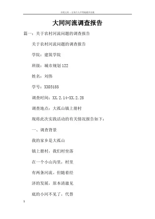 大同河流调查报告doc
