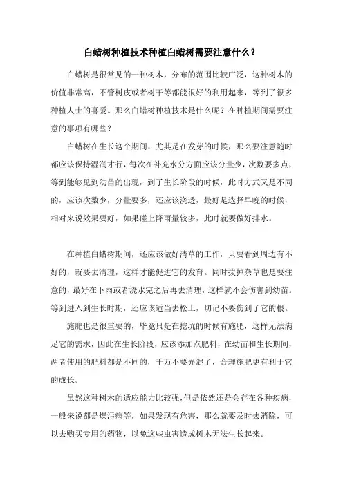 白蜡树种植技术 种植白蜡树需要注意什么？