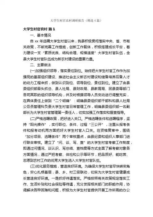 大学生村官农村调研报告（精选4篇）